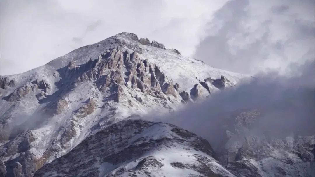 首次披露4名解放军官兵在加勒万河谷牺牲全过程