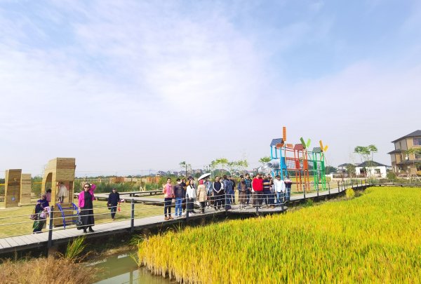 村里来了职业经理人跟着余杭永安村ceo走村