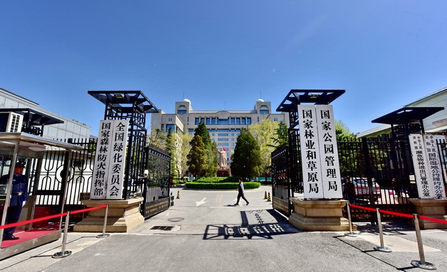 中央环保督察组指林草局重造林轻管护 过度依赖中央财政补助