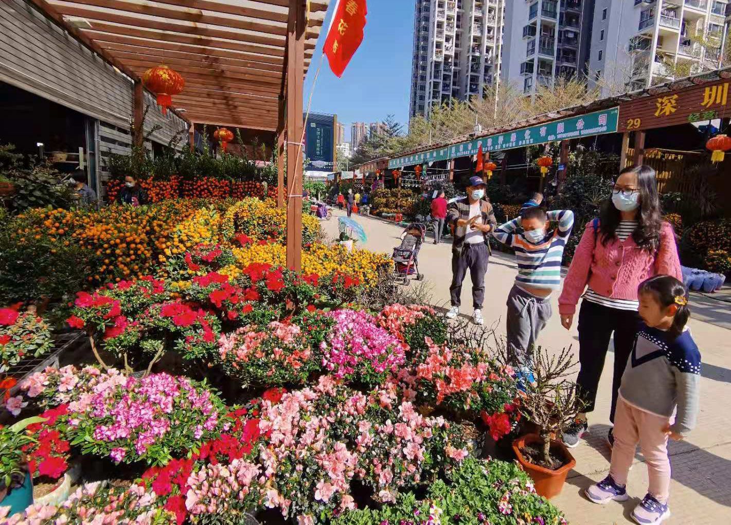 见圳客户端·深圳新闻网2021年2月1日讯(深圳特区报记者 邱海彬)春节