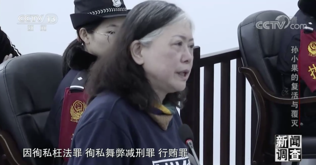 孫小果母親出鏡講述兒子成長經歷埋下暴力的種子