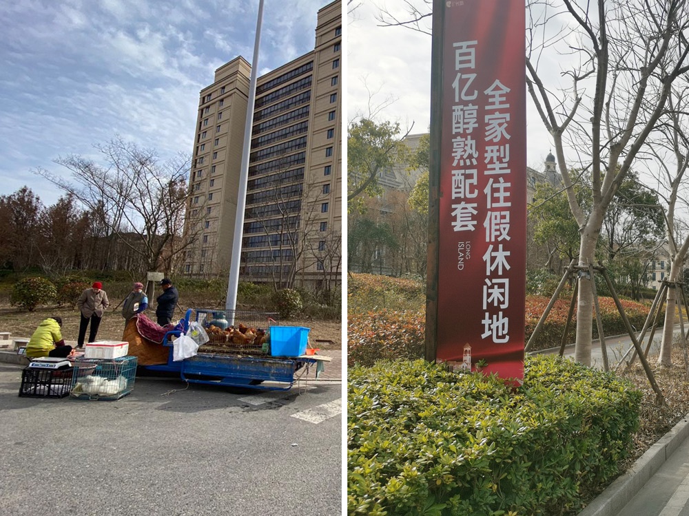 绿地长岛中心区域集市（左）和路边广告旗（右）