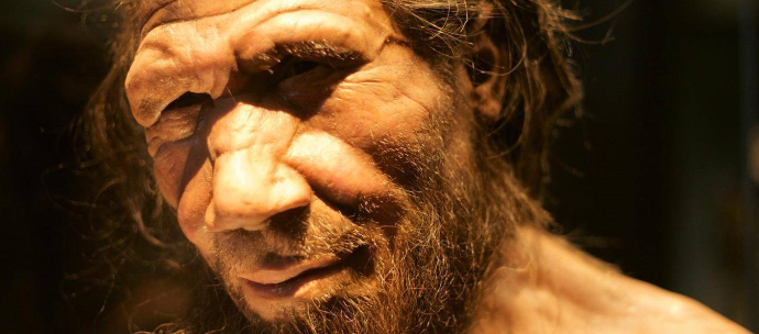 智人漫漫演化史|非洲|进化|dna_新浪新闻