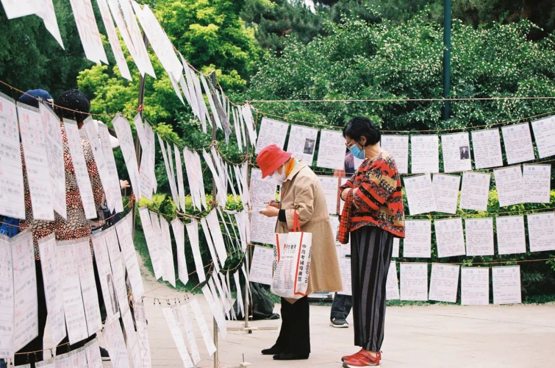 相亲这件事,正在被年轻人重塑