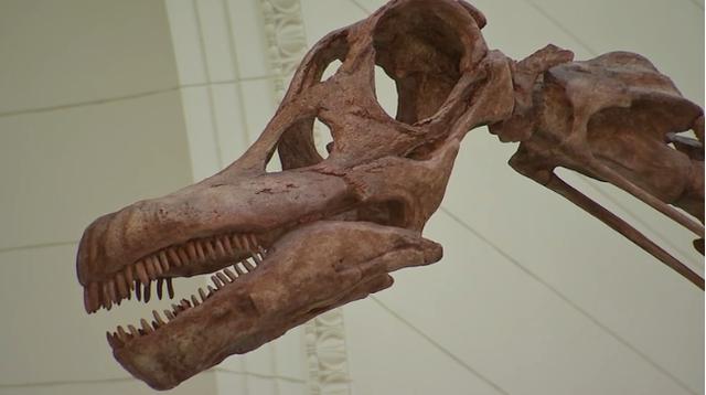 △美国广播公司（ABC）报道截图