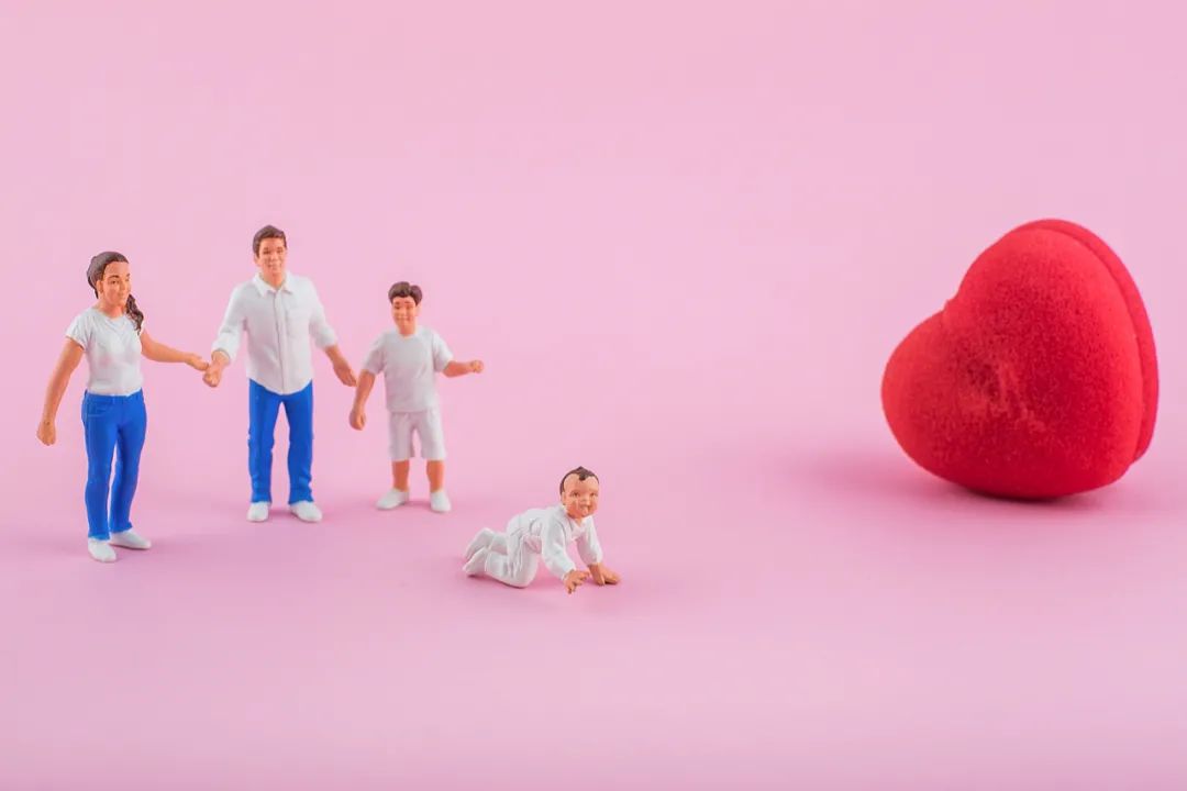 东北“催生”戳中了哪些痛点？评论：主要还是一个经济问题