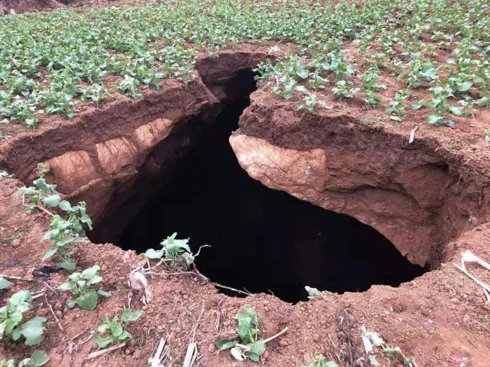贵州罗甸一菜地塌陷出深坑官方回应属自然岩溶塌陷