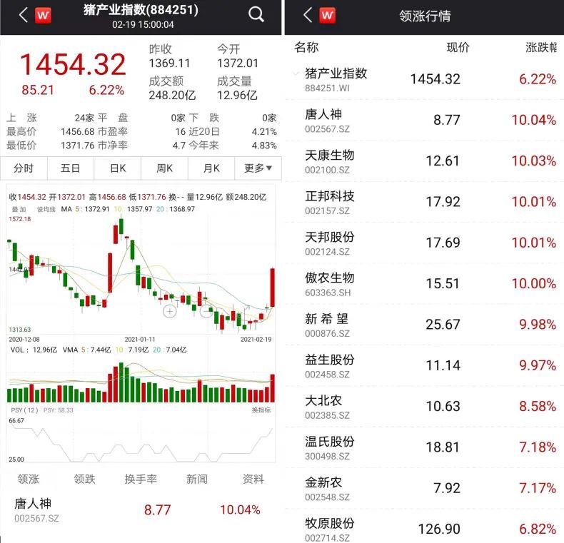 养猪板块现涨停潮含金量咋样？ 猪企去年净利暴增但目前似乎不妙