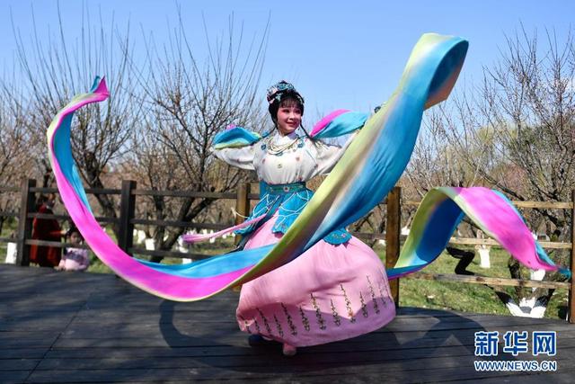 杭州:西溪湿地 曲水寻梅
