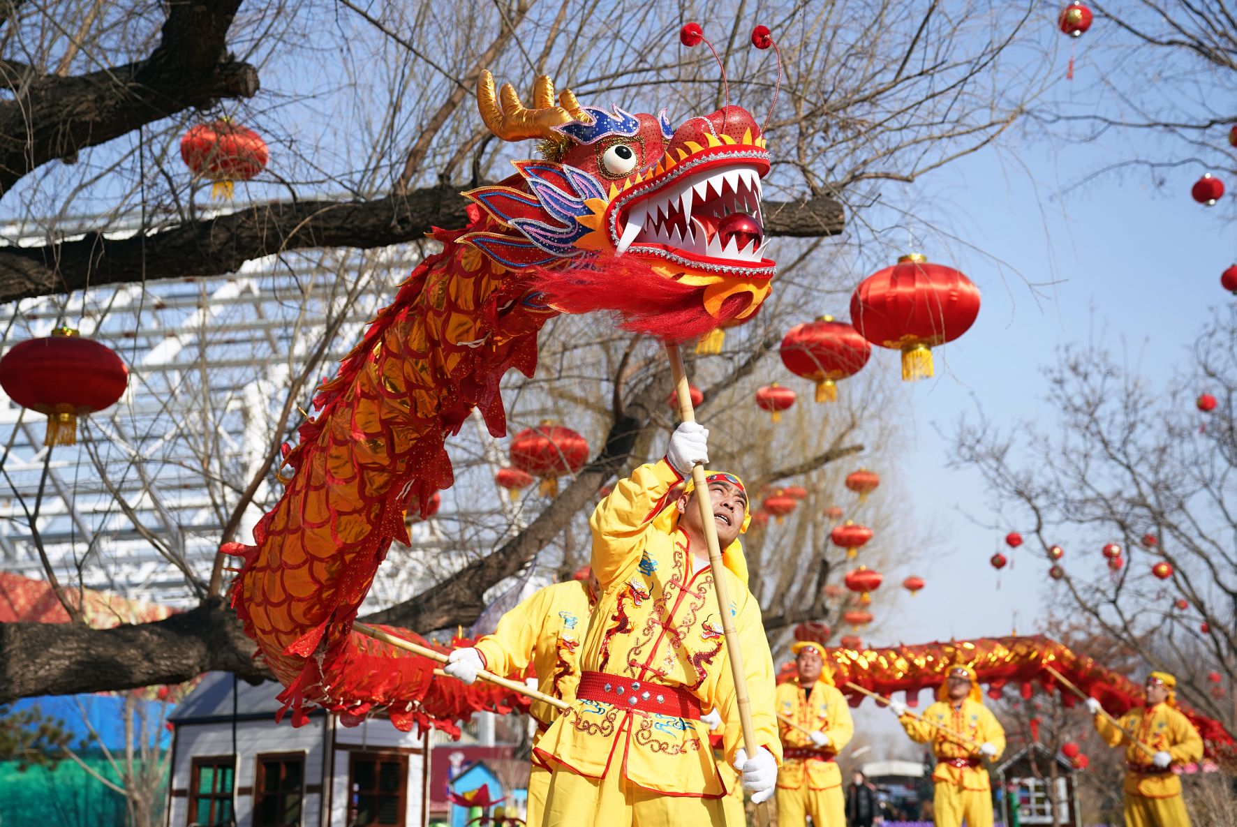 迎八方客北京南宫村民自建的舞狮舞龙队舞起来啦
