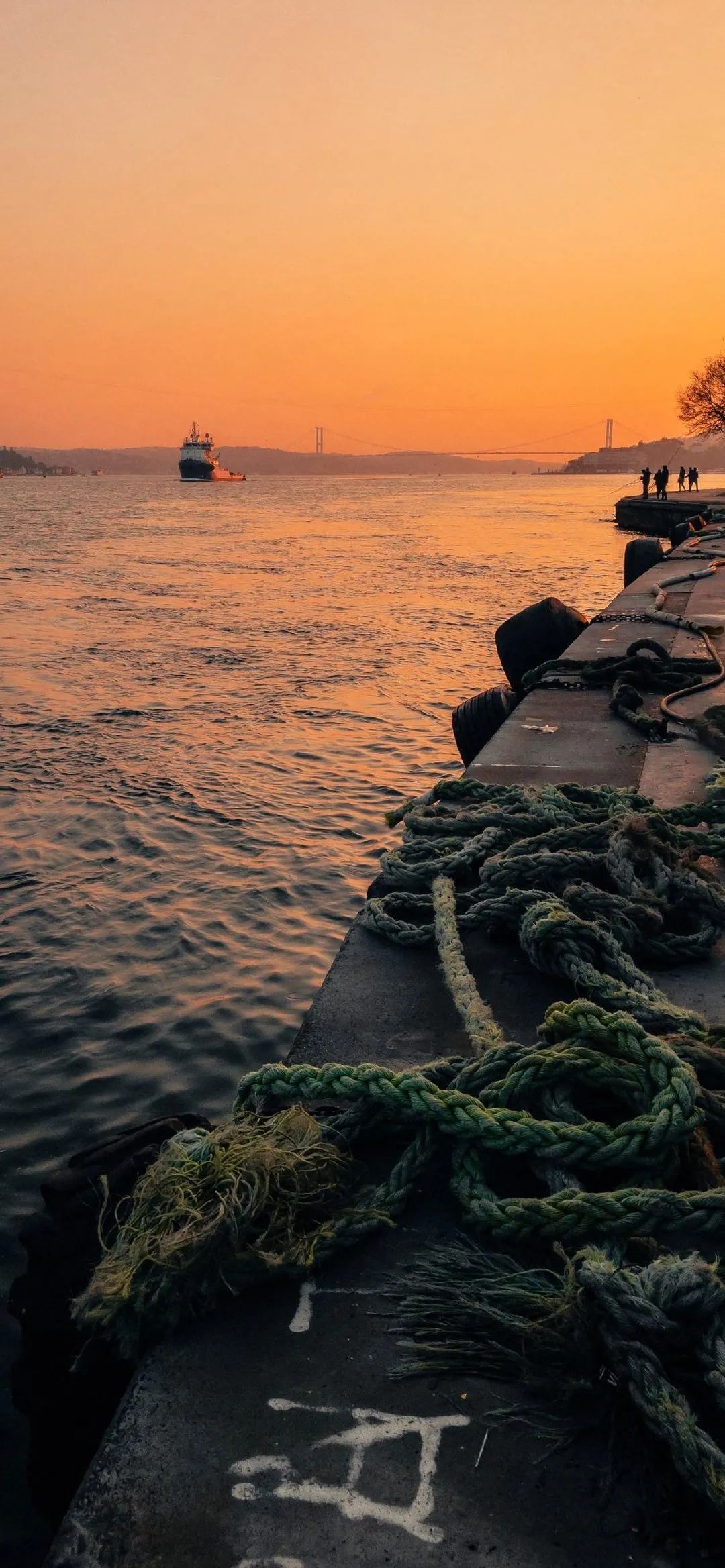 潮流壁纸精选20210222