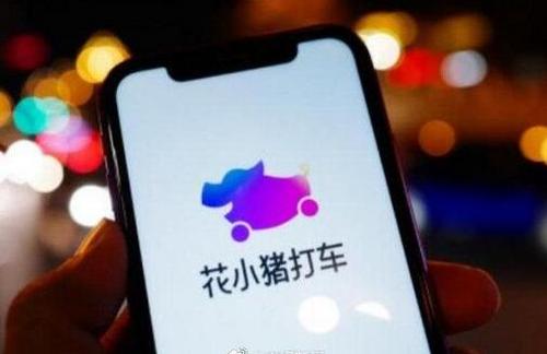 滴滴花小猪无序扩张合规性遭质疑 半年9次因非法经营被通报