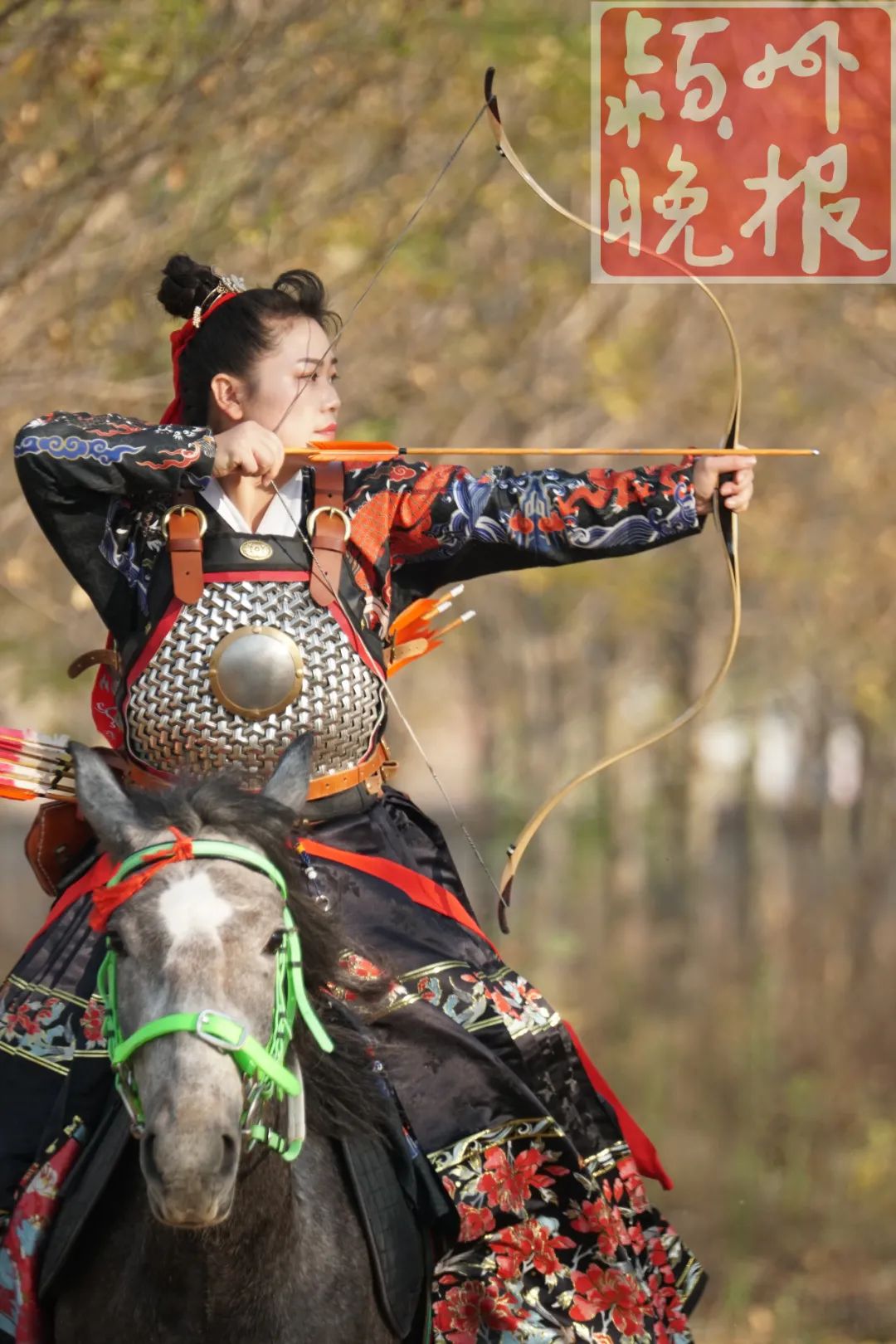 安徽阜阳骑射"侠女"一天开弓数百次,在老家养阿拉伯半血马