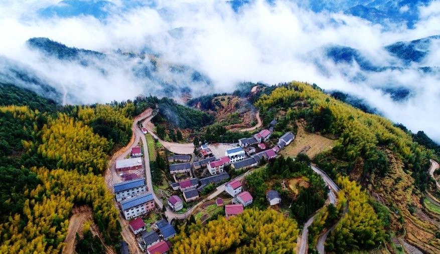 仙居6个村上榜省级示范!