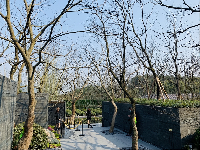 龙湖山前好的居住是让你停下来再出发