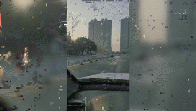 惊呆！广西街头惊现大鸵鸟，在车流中狂奔！结果……休闲区蓝鸢梦想 - Www.slyday.coM