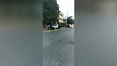 惊呆！广西街头惊现大鸵鸟，在车流中狂奔！结果……休闲区蓝鸢梦想 - Www.slyday.coM