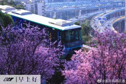 重庆“开往春天的轻轨”撞上无人机