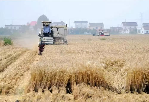 粮食安全如何保？种业翻身仗怎么打？中央农办、农业农村部有关负责人谈中央一号文件热点话题休闲区蓝鸢梦想 - Www.slyday.coM