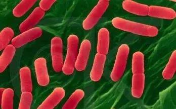 上海和亦食品公司被查：涉嫌篡改生产日期 精心设计逃避路线