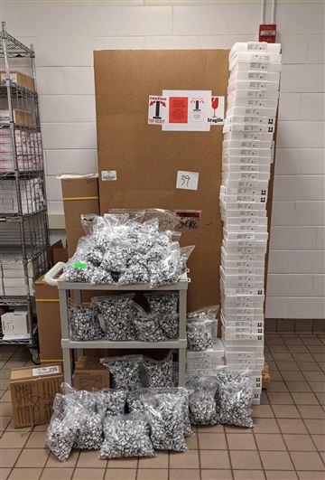 医生称，仅图中收集的药剂瓶就残余最多1.3万剂疫苗的量，但联邦政府禁止使用 图自：因诺瓦医疗系统