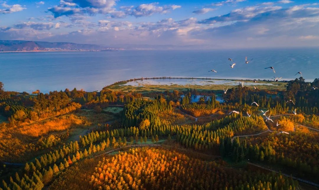 措施积极开展生物多样性保护并不断加大自然保护区建设目前已建成各级