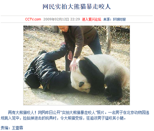 惹什么猫都别惹熊猫功夫熊猫20年对人类拿下4血