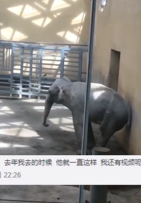 太原动物园大象摇头数月疑抑郁，园方回应！网友：去年好像就这样休闲区蓝鸢梦想 - Www.slyday.coM