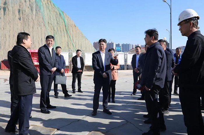 咸阳市秦都区委书记谢军调研重点项目建设工作,区委常委,常务副区长