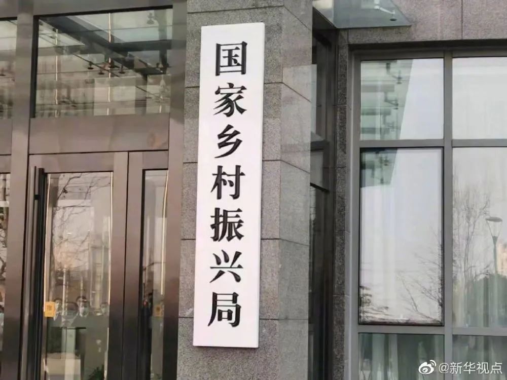 刚刚正式挂牌