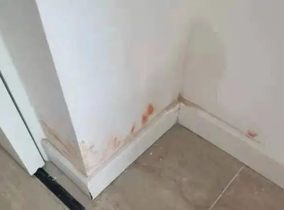 奥园“柱子房”上热搜：开发商作出新承诺 多数业主不认可