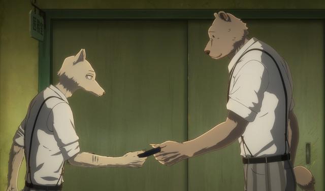 beastars咬杀事件真相大白真相比想象的更残忍