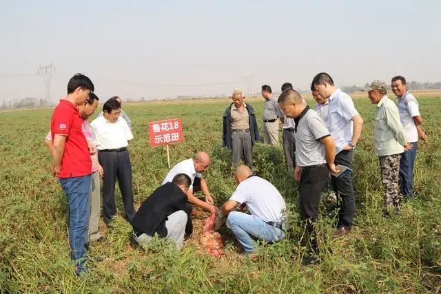 山东鲁花集团荣获“全国脱贫攻坚先进集体”称号