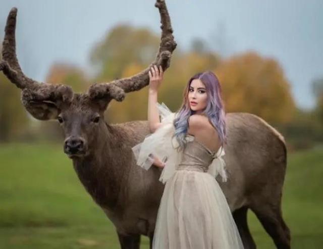 美国女演员与生俱来能与动物交流称动物能治愈打工人心灵的伤痛