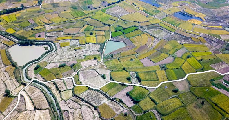 城乡经济循环畅通的三要素：土地、人才、资金