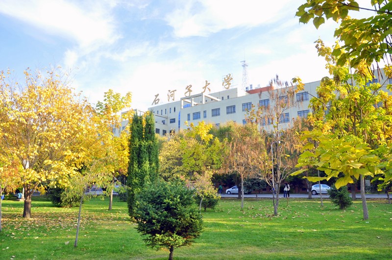 1996年4月由石河子农学院,石河子医学院,兵团师范专科学校和兵团经济