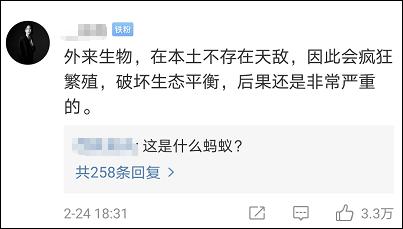 上海海关查获406只活体蚂蚁，申报品名为“牙科耗材”