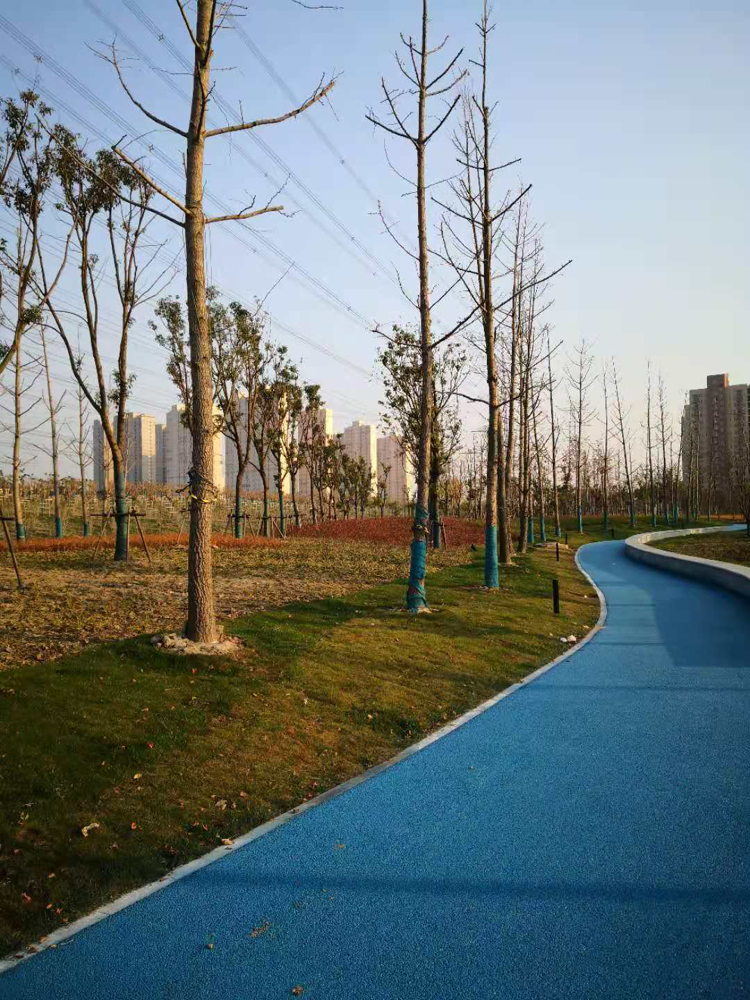 探索面积超27万㎡浦东航头镇这个公园改造完成