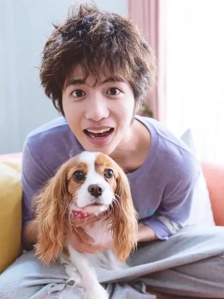 凭借《宠物情人2017》中对忠犬系男友的诠释,让观众表示理解了姐弟恋