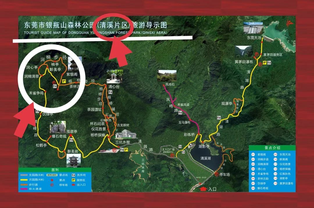 来源:综合i东莞记者 叶珊,东莞市银瓶山森林公园特别声明:以上文章