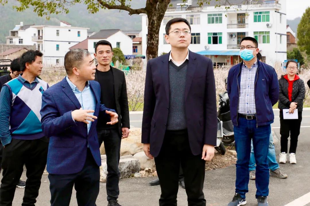 王斌达带队督查仙居森林防火工作