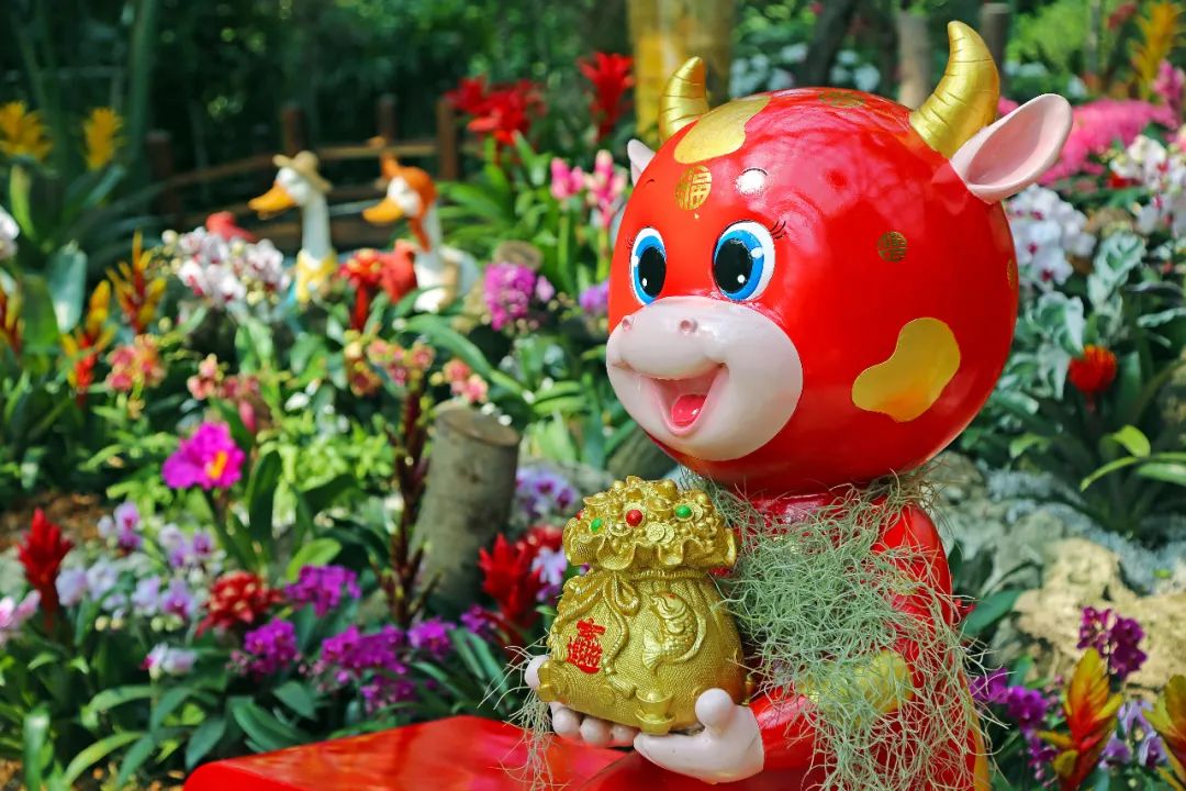 在春节期间也开展了"牛年忘返"年宵花展.