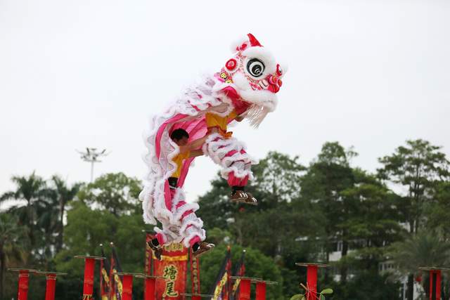福永的舞狮习俗可上溯至清朝嘉庆年间,历年来,福永醒狮屡获国内外大奖