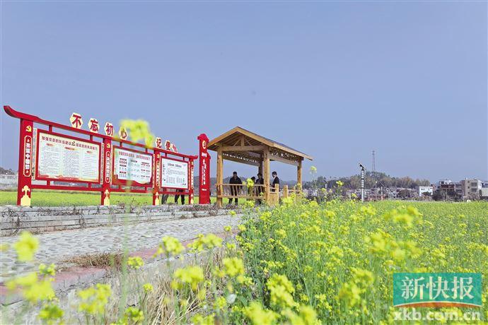 广东省农村换届工作要求