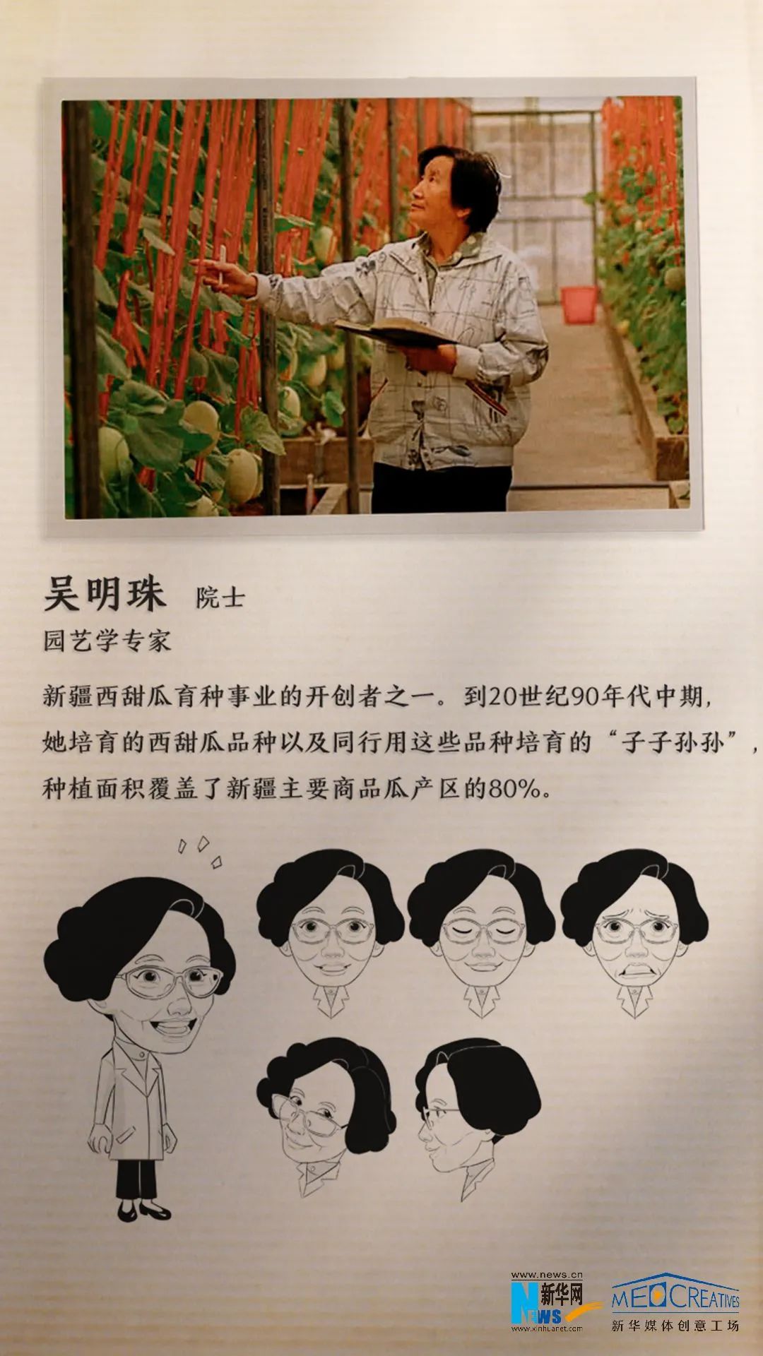 啥袁隆平当了一回动漫主角