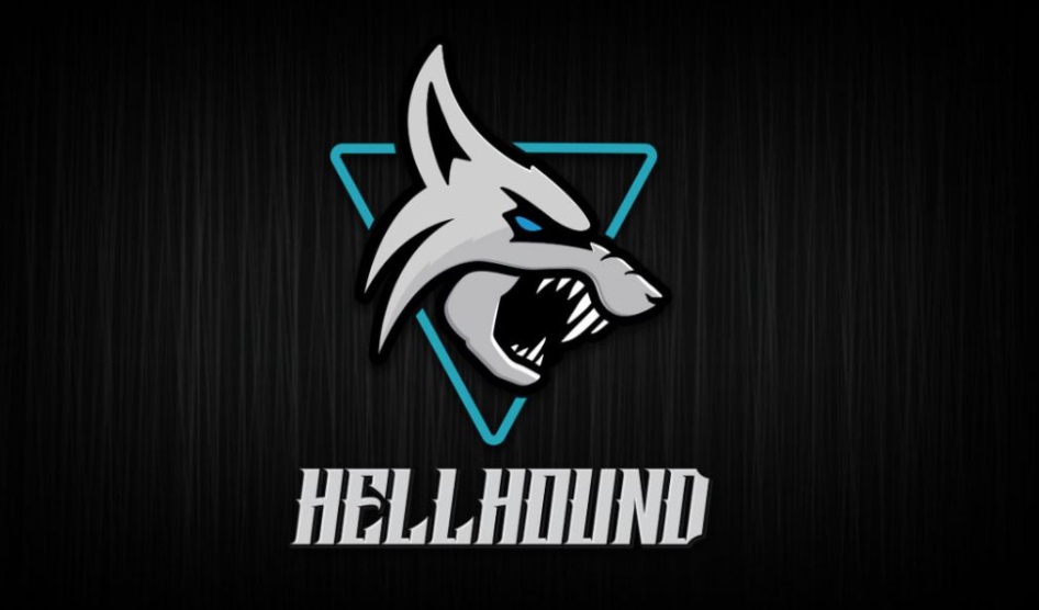 撼讯 RX 6700 XT Hellhound 系列 Logo 曝光__财经头条