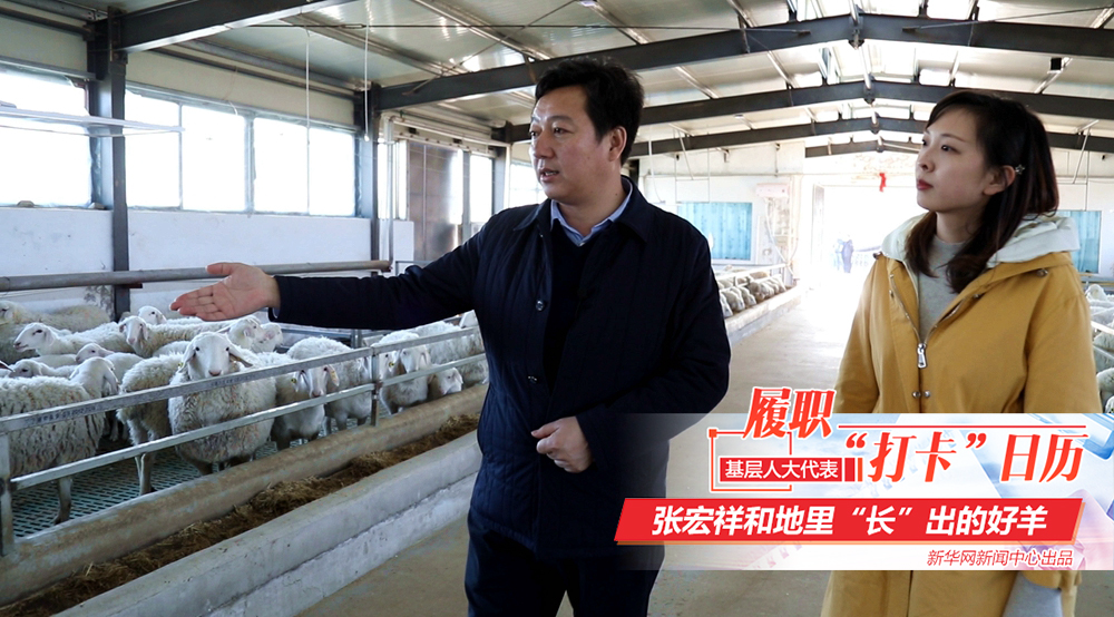 出品人:田舒斌 徐珊娜总策划:周红军总监制:朱永磊 叶 健监制:邱小敏