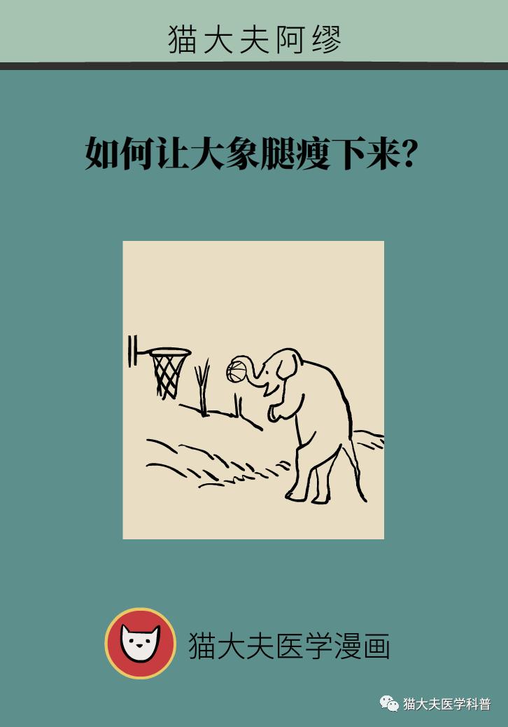 如何让大象腿瘦下来？