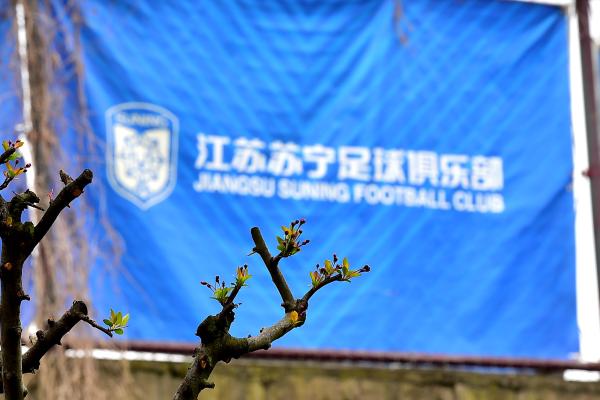 苏宁俱乐部停止运营后,江苏足球能否枯木逢春?