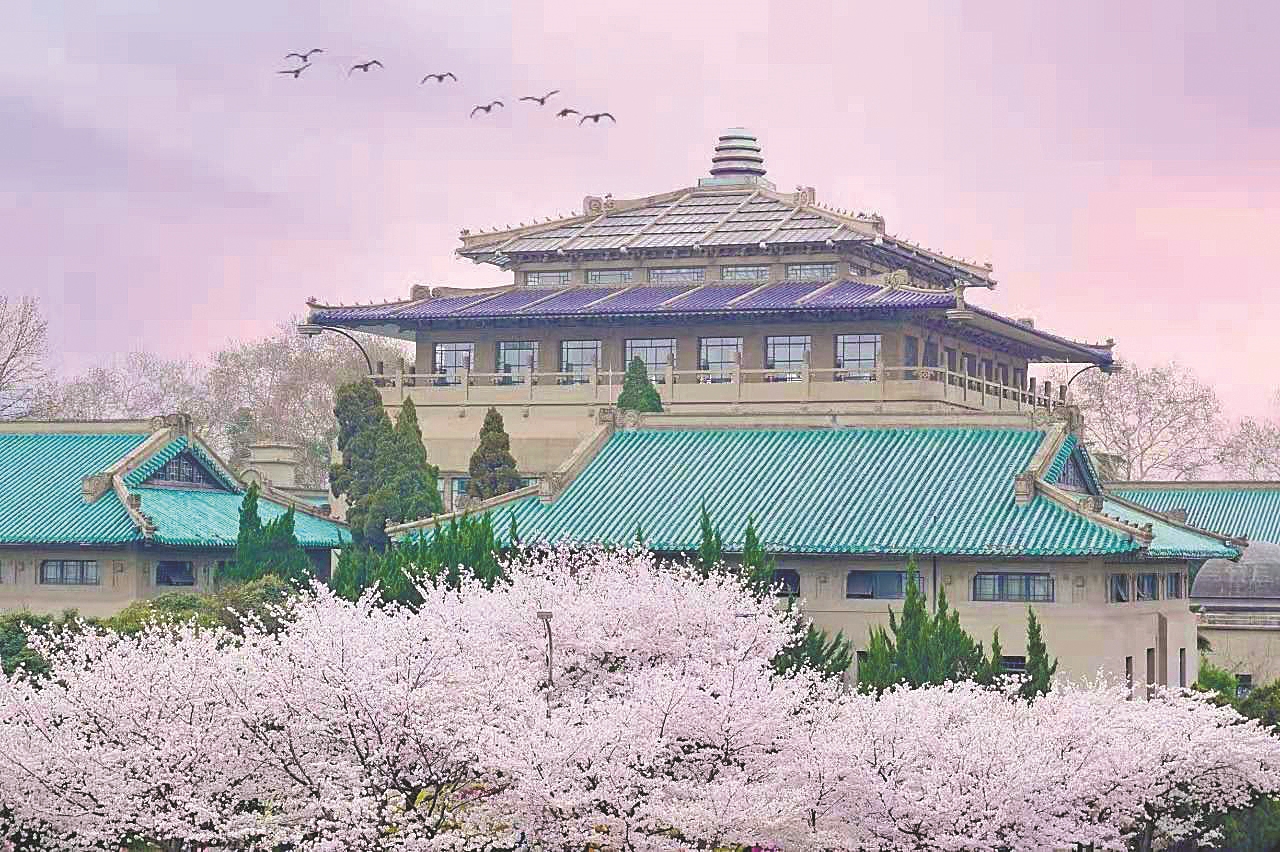 樱花盛开武汉大学履约为抗疫医护开放赏樱专场